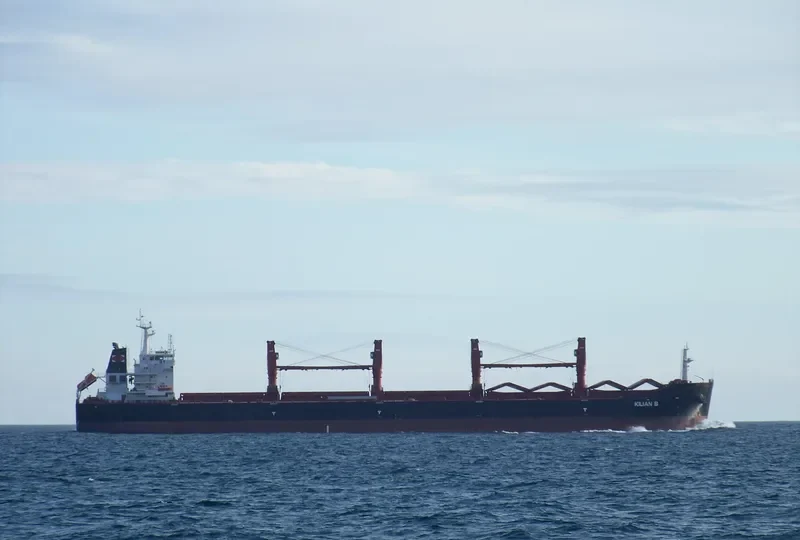 CHLOE Bulk Carrier IMO 9456173 photo 9