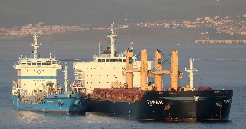 DAISY OCEAN Bulk Carrier IMO 9456226