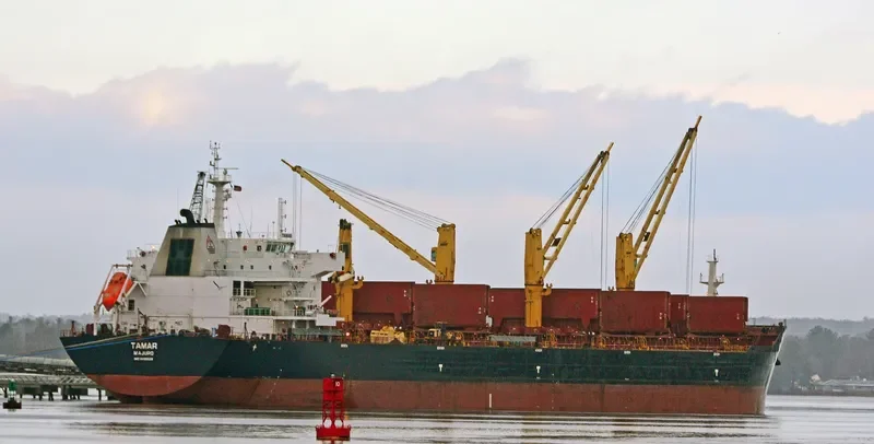 DAISY OCEAN Bulk Carrier IMO 9456226 photo 2