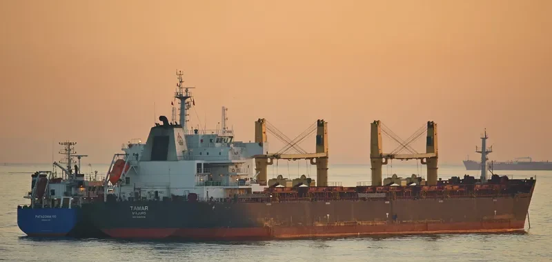 DAISY OCEAN Bulk Carrier IMO 9456226 photo 3