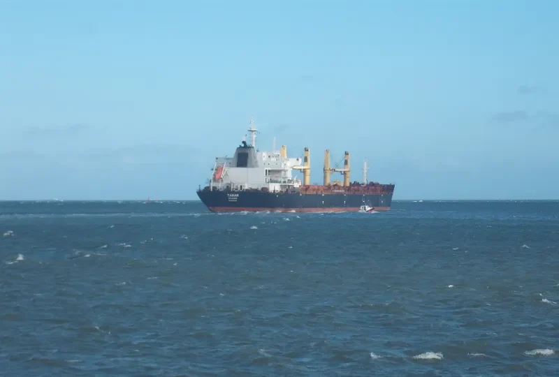 DAISY OCEAN Bulk Carrier IMO 9456226 photo 4