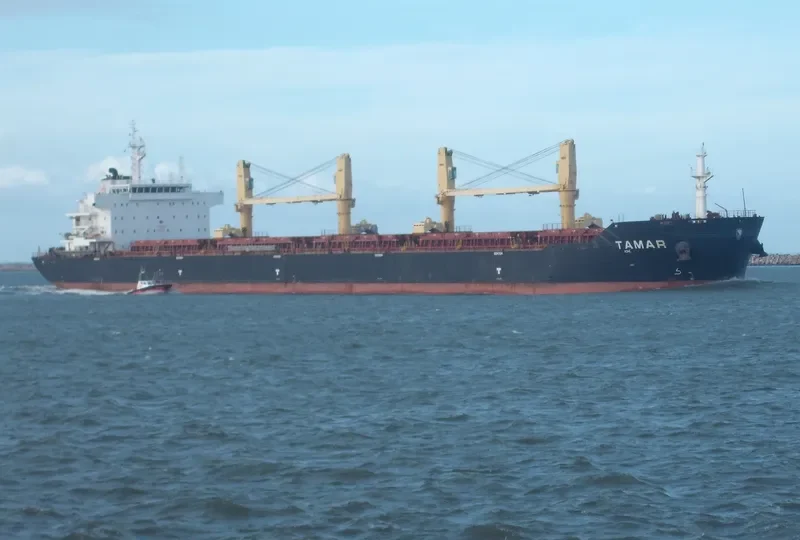 DAISY OCEAN Bulk Carrier IMO 9456226 photo 6