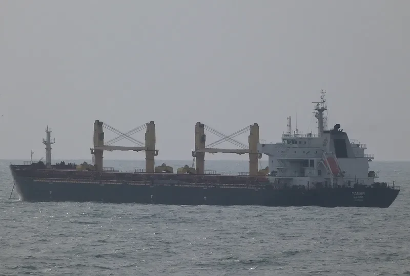 DAISY OCEAN Bulk Carrier IMO 9456226 photo 8