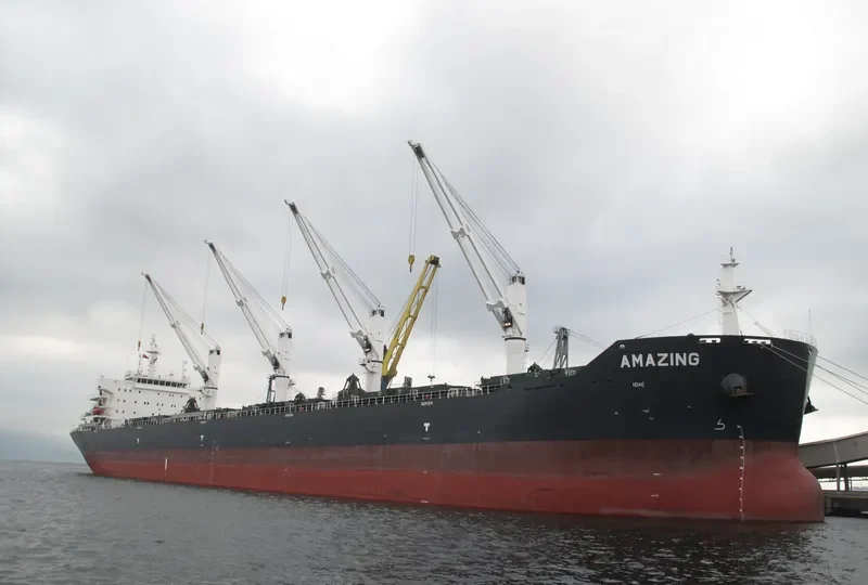 JY PROGRESS Bulk Carrier IMO 9456331 photo 6