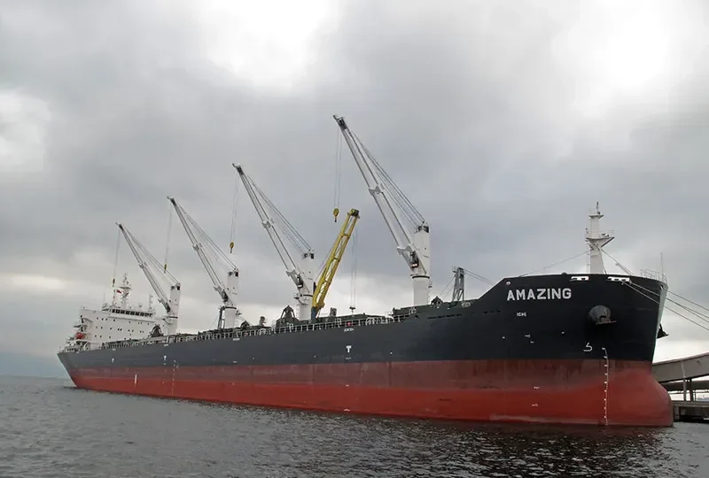 JY PROGRESS Bulk Carrier IMO 9456331 photo 7