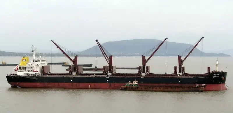 JAG RANI Bulk Carrier IMO 9456355 photo 3