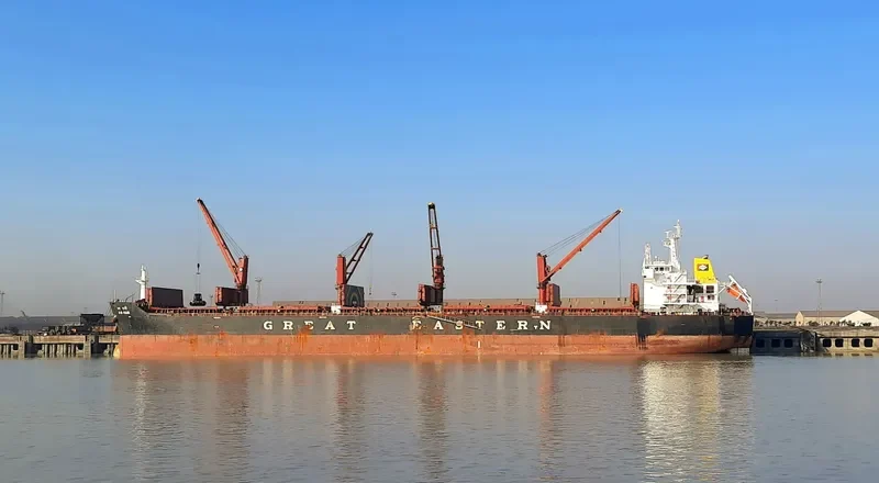 JAG RANI Bulk Carrier IMO 9456355 photo 6