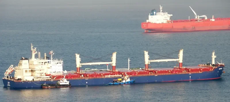 SIFNOS Bulk Carrier IMO 9456379 photo 2