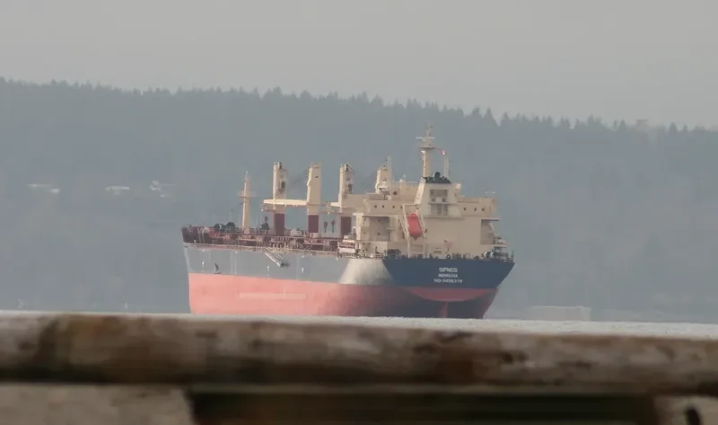 SIFNOS Bulk Carrier IMO 9456379 photo 3