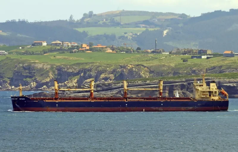 SIFNOS Bulk Carrier IMO 9456379 photo 6