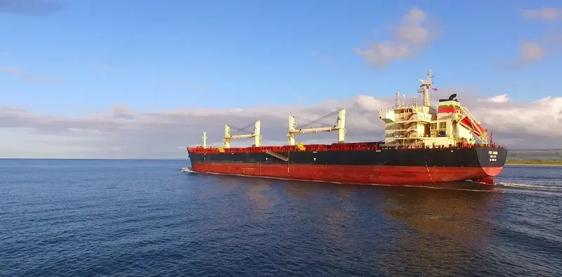 JI CHENG SHAN Bulk Carrier IMO 9456422 photo 3