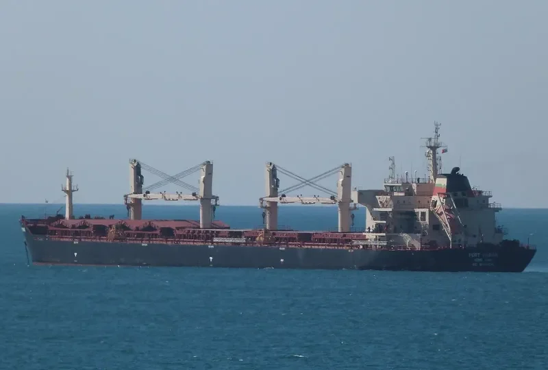 JI CHENG SHAN Bulk Carrier IMO 9456422 photo 8