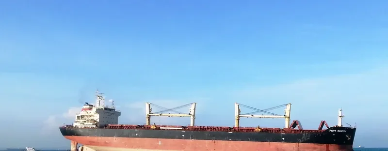 PORT CANTON Bulk Carrier IMO 9456434 photo 2