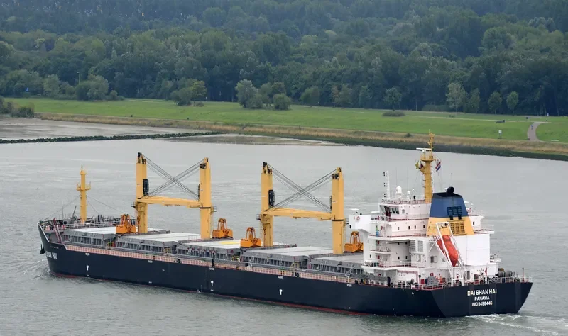 DAI SHAN HAI Bulk Carrier IMO 9456446 photo 2