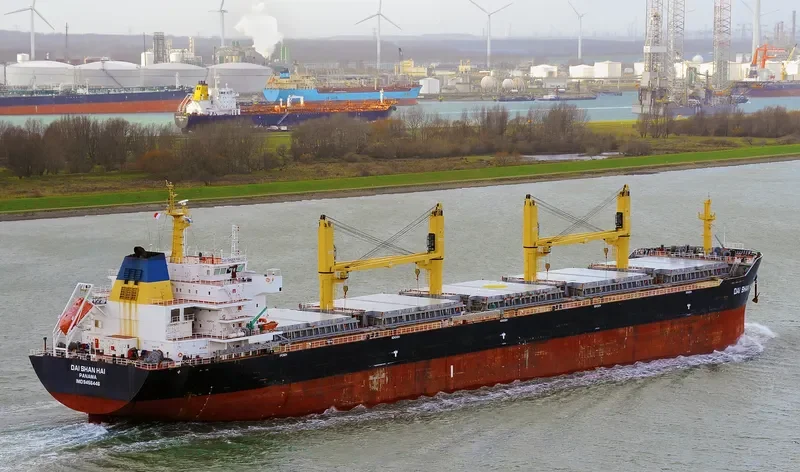 DAI SHAN HAI Bulk Carrier IMO 9456446 photo 4