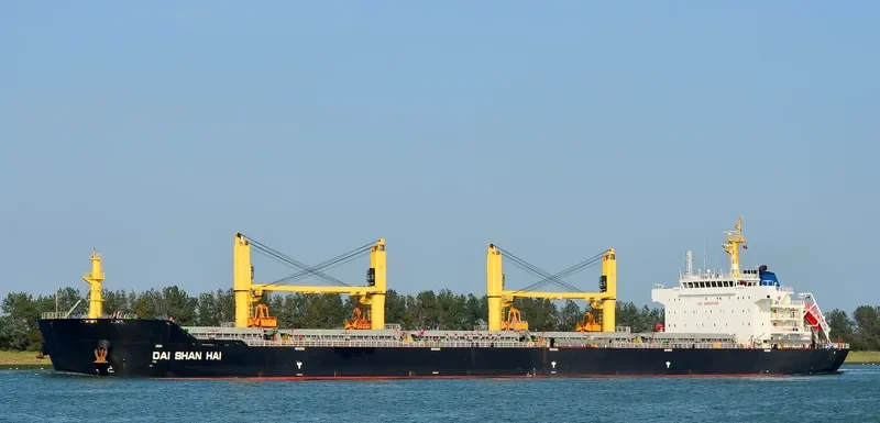 DAI SHAN HAI Bulk Carrier IMO 9456446 photo 9