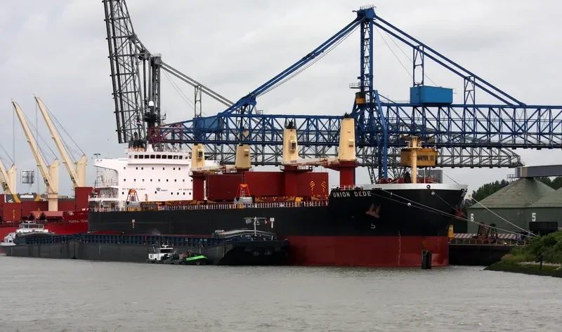 VEGA Bulk Carrier IMO 9456537
