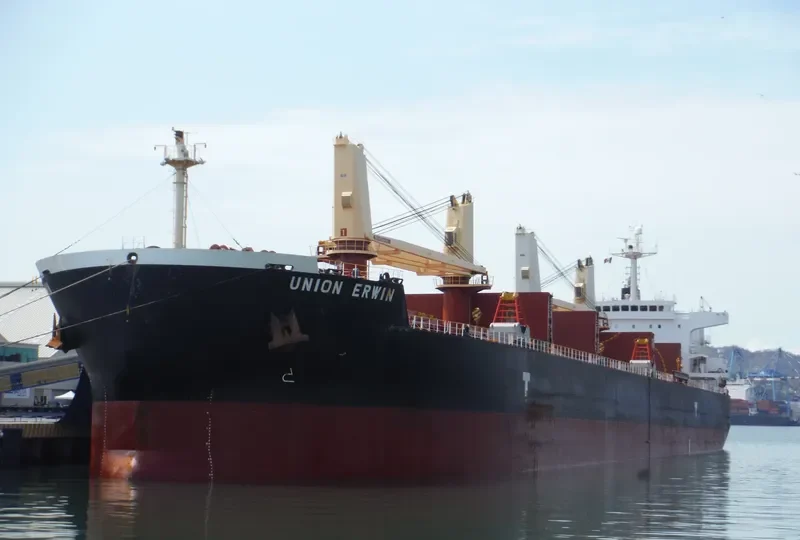 UNION ERWIN Bulk Carrier IMO 9456549 photo 8