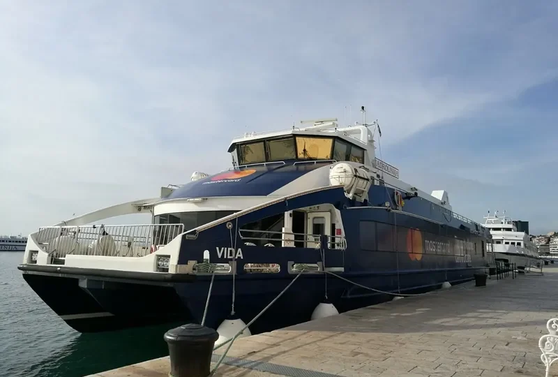 VIDA General Cargo IMO 9456628