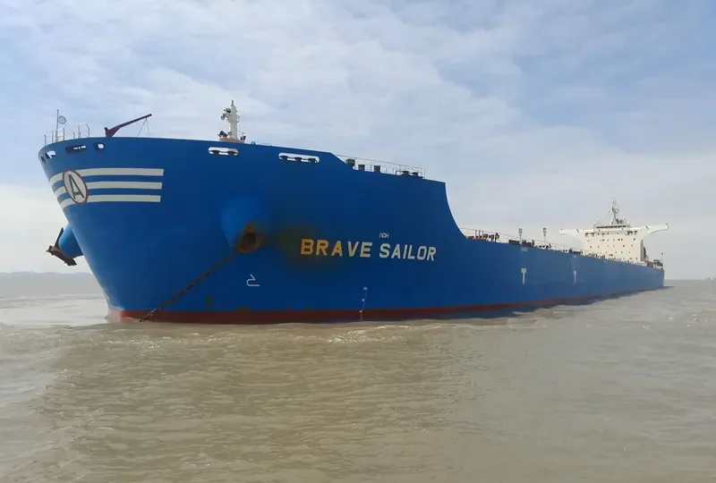 BRAVE SAILOR Bulk Carrier IMO 9457012