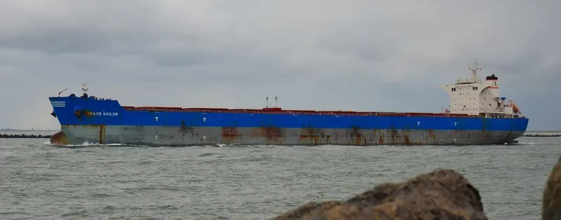 BRAVE SAILOR Bulk Carrier IMO 9457012 photo 6