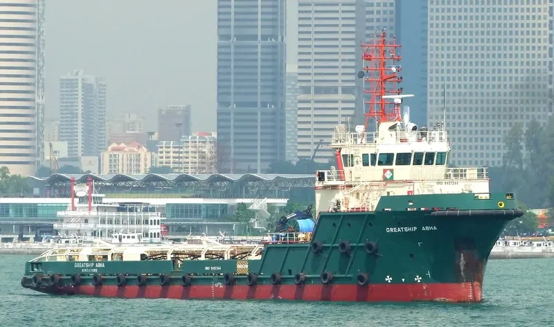 PTSC THANG LONG General Cargo IMO 9457244
