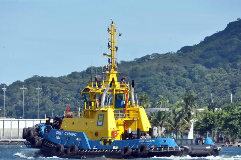 SAAM CAIAPO General Cargo IMO 9457426