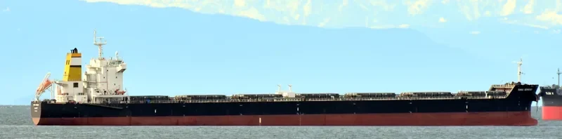 STAR GENESIS Bulk Carrier IMO 9457464 photo 9