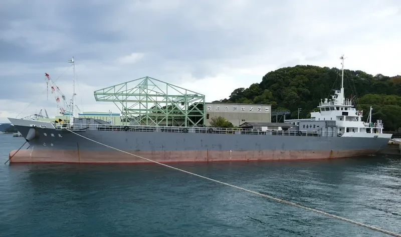 WAKANAMI MARU General Cargo IMO 9457672 photo 5