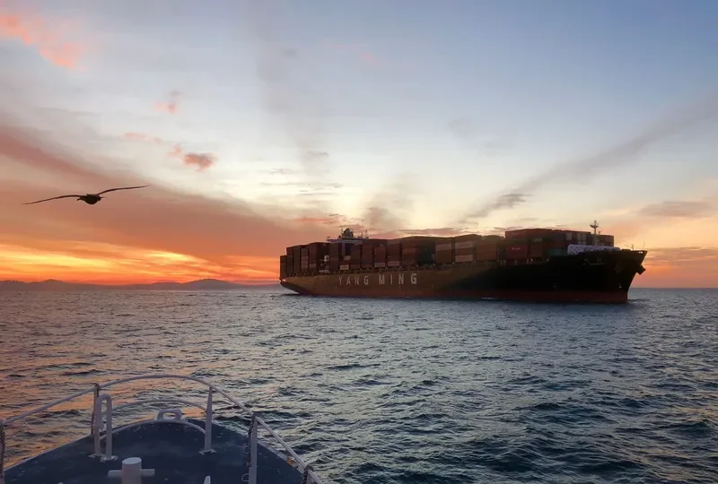YM MOBILITY Container Ship IMO 9457737