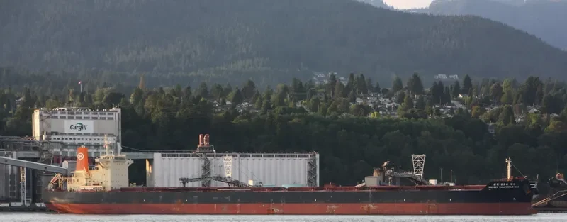 HL DALRYMPLE BAY Bulk Carrier IMO 9458389 photo 9