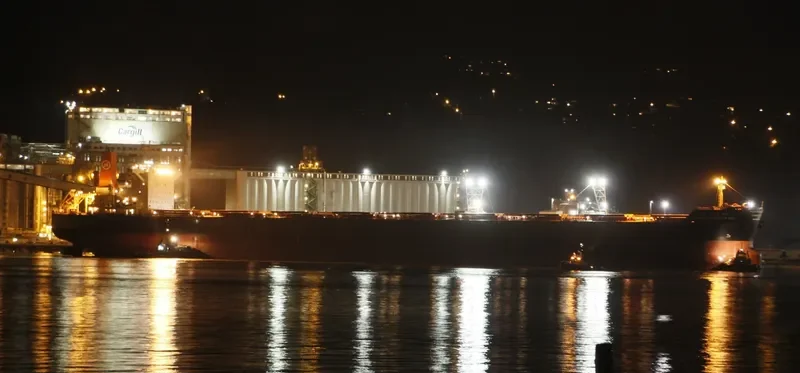 HL DALRYMPLE BAY Bulk Carrier IMO 9458389 photo 10
