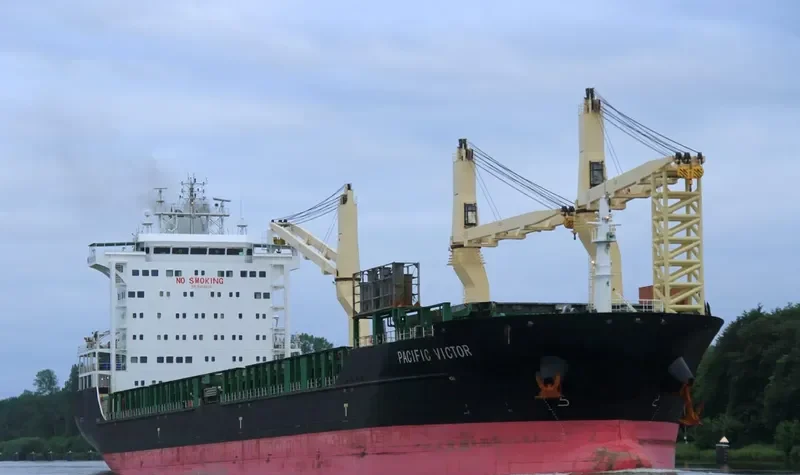 PACIFIC VICTOR General Cargo IMO 9458456 photo 171