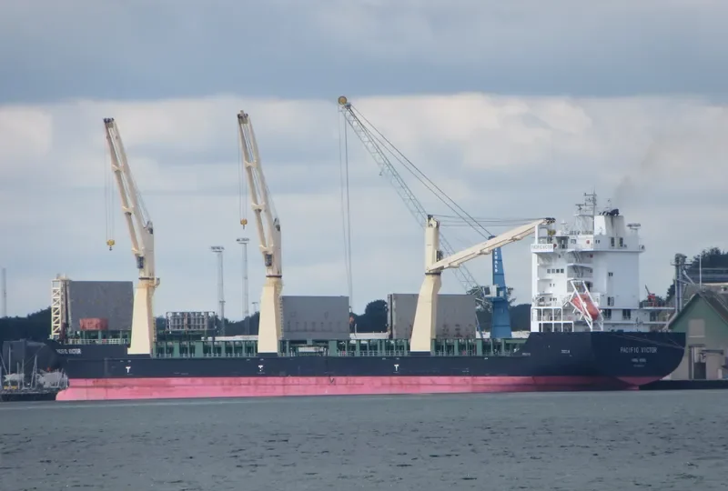 PACIFIC VICTOR General Cargo IMO 9458456 photo 377