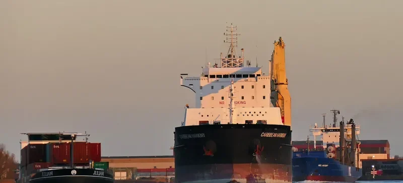 CARIBBEAN HARMONY General Cargo IMO 9458468 photo 43