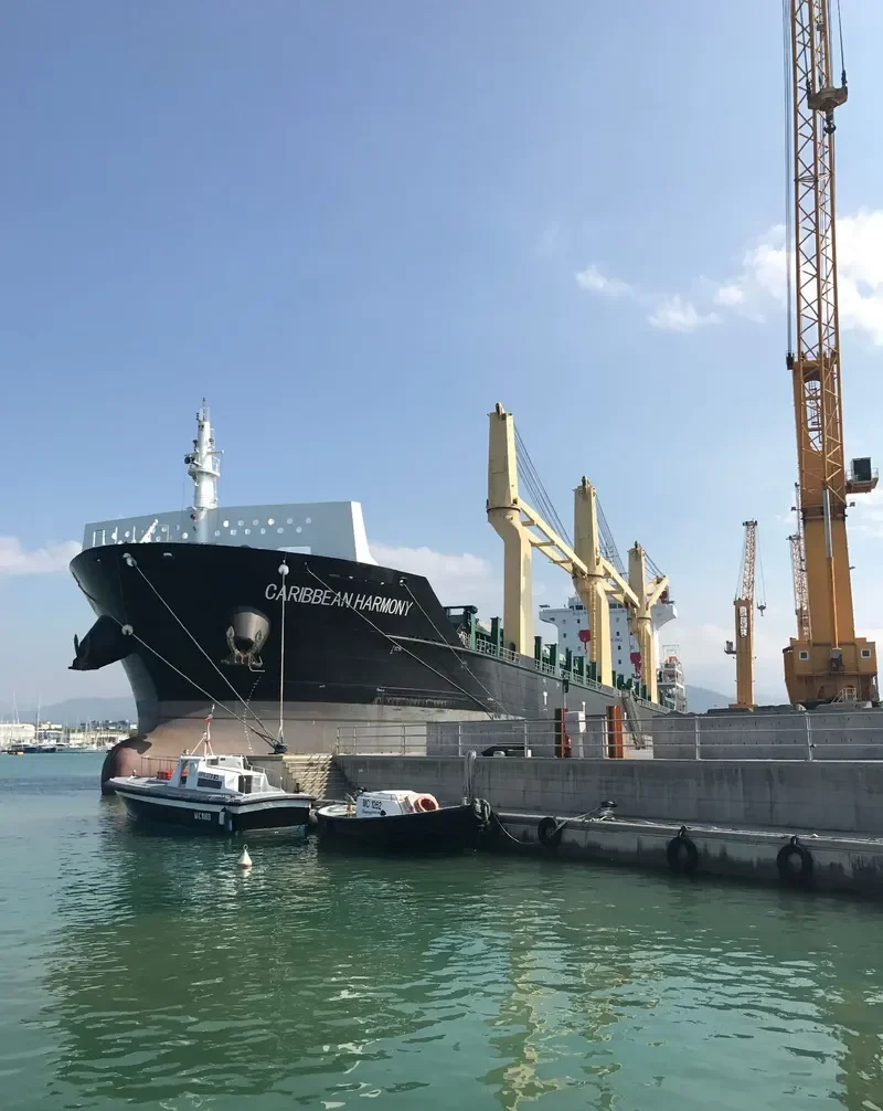 CARIBBEAN HARMONY General Cargo IMO 9458468 photo 183