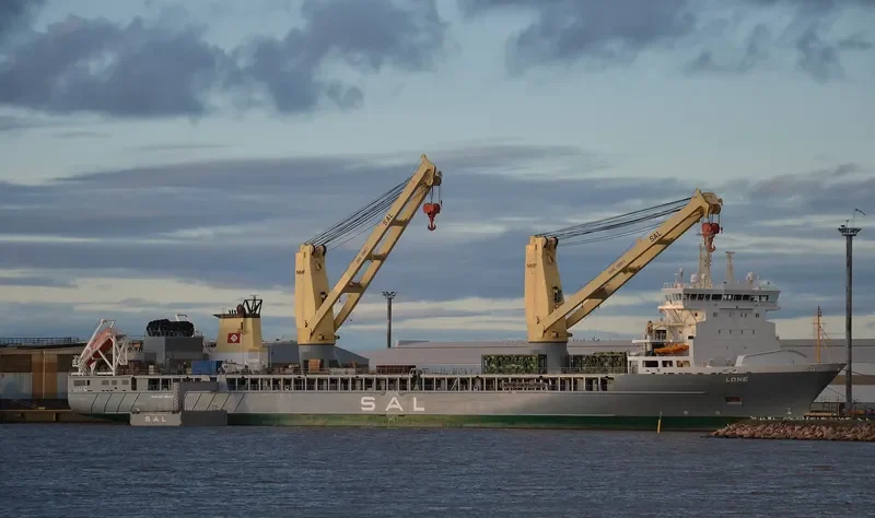 LONE General Cargo IMO 9458913 photo 5