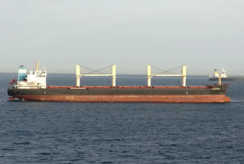 BRIANNA Bulk Carrier IMO 9459369 photo 4