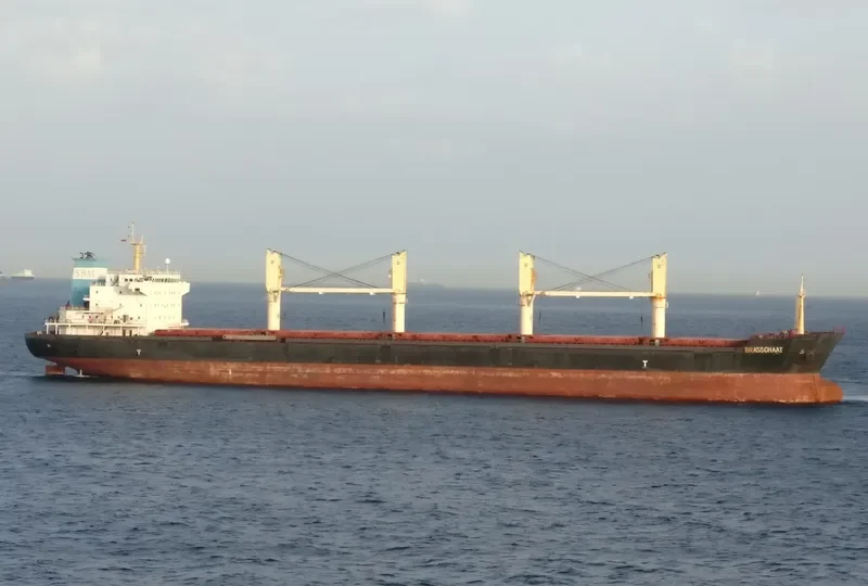 BRIANNA Bulk Carrier IMO 9459369 photo 5