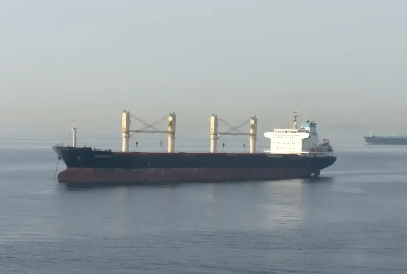 BRIANNA Bulk Carrier IMO 9459369 photo 6