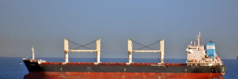 ARGO B Bulk Carrier IMO 9459371 photo 6