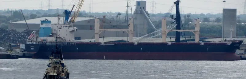 ARGO B Bulk Carrier IMO 9459371 photo 9