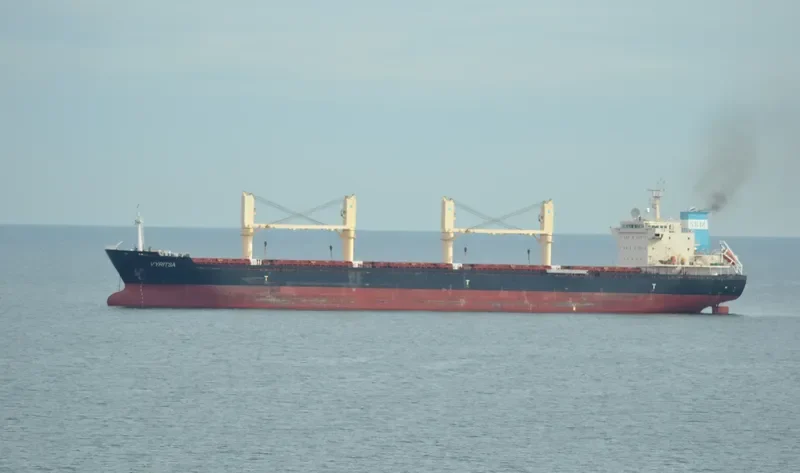 ARGO B Bulk Carrier IMO 9459371 photo 10