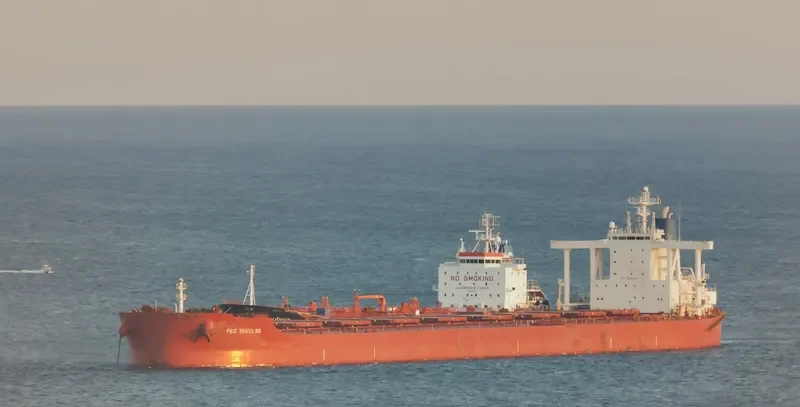 FEG SUCCESS Bulk Carrier IMO 9459527 photo 4