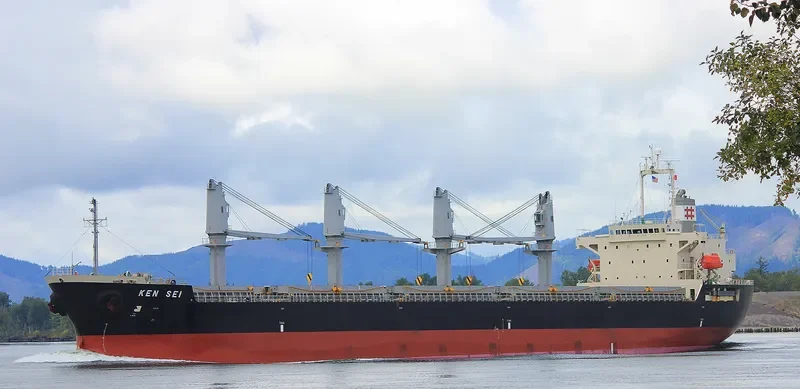 KEN SEI Bulk Carrier IMO 9459620 photo 9