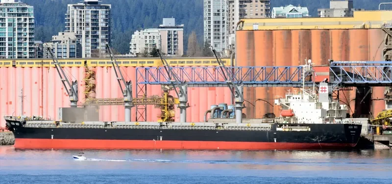KEN SEI Bulk Carrier IMO 9459620 photo 10