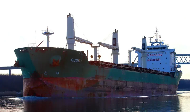 RUDDY Bulk Carrier IMO 9459981
