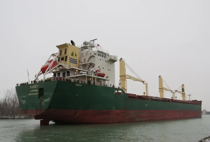 RUDDY Bulk Carrier IMO 9459981 photo 7