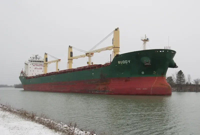 RUDDY Bulk Carrier IMO 9459981 photo 8
