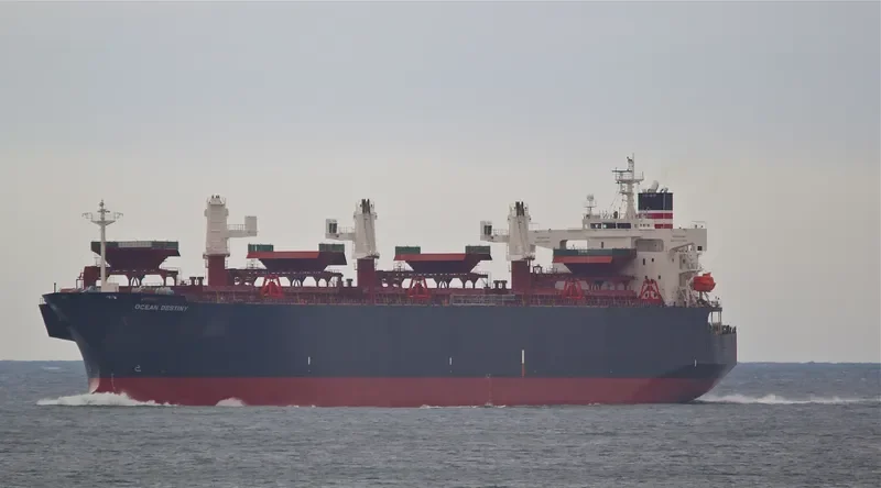 MCQUEEN Bulk Carrier IMO 9460007 photo 7